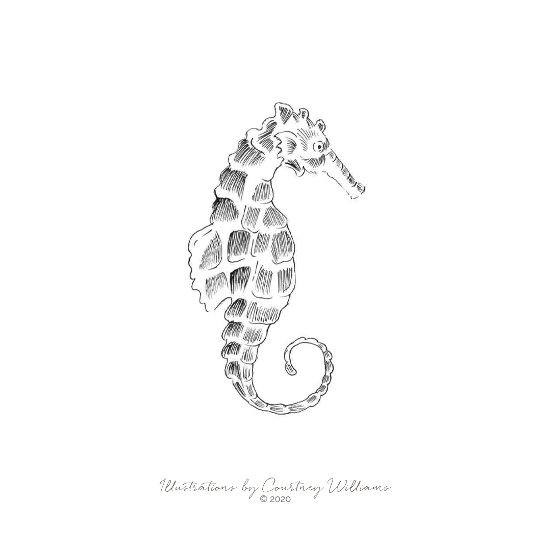 The Seahorse Charm -NEW - Image 5